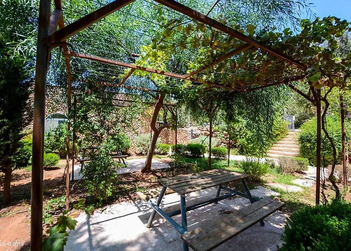 Tur Sinai Organic Farm Resort