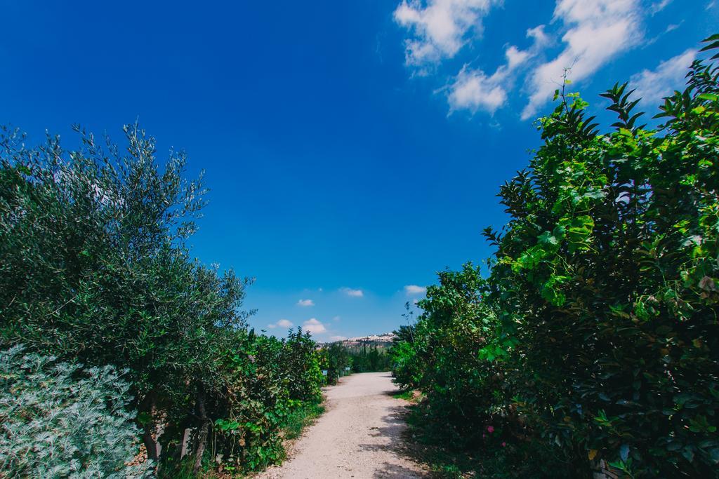 Affittacamere Tur Sinai Organic Farm