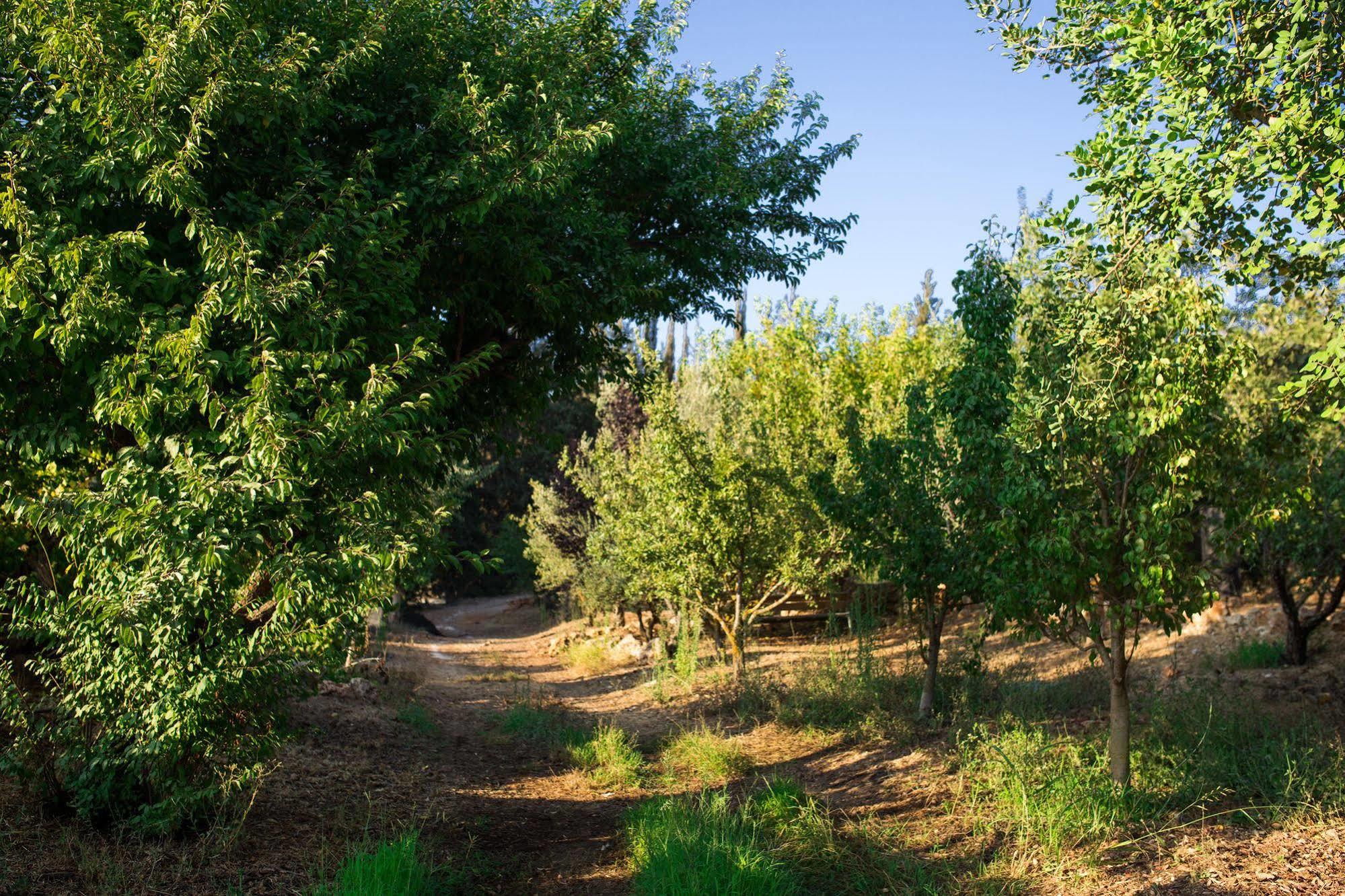 Tur Sinai Organic Farm