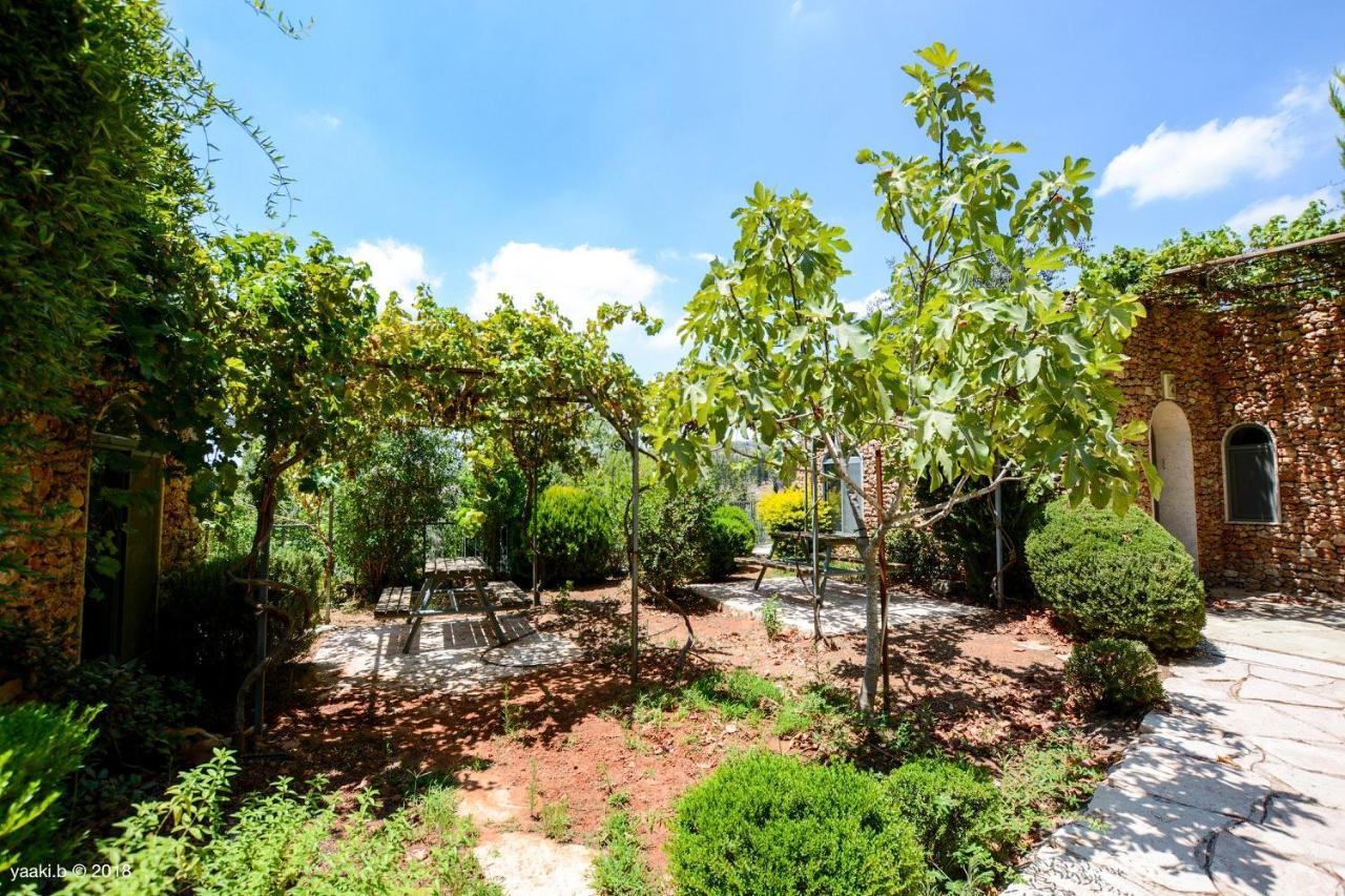 Tur Sinai Organic Farm Affittacamere Gerusalemme