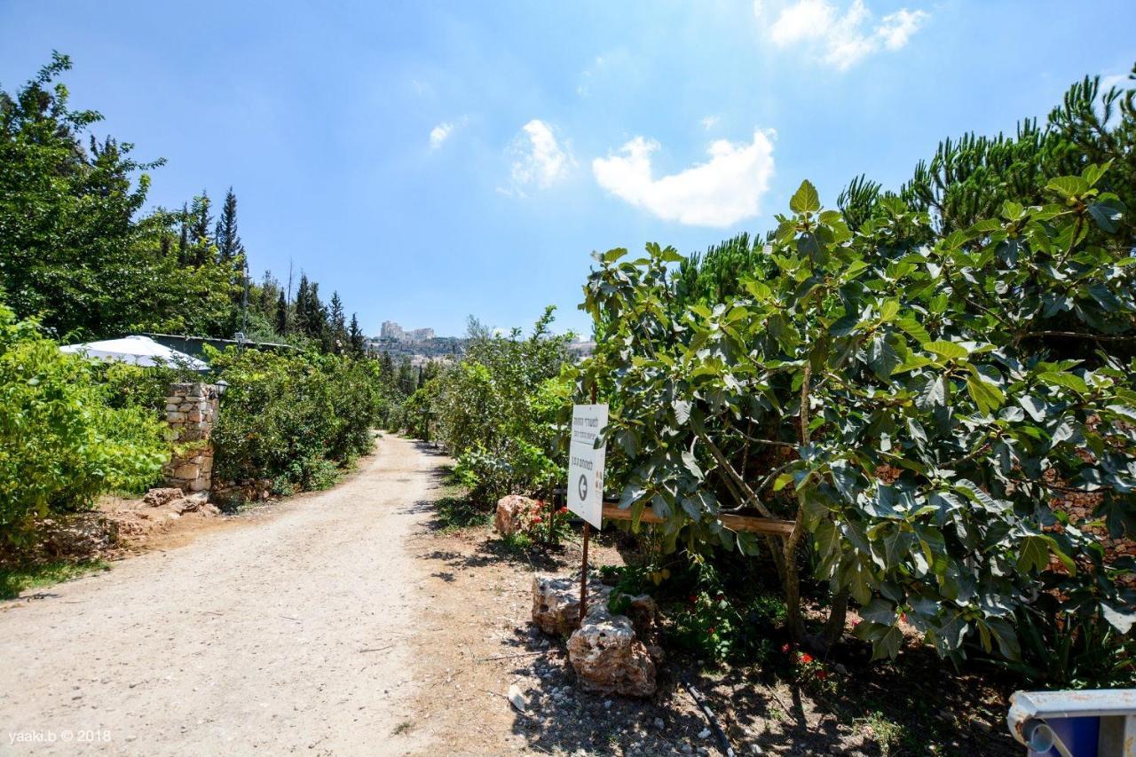 Tur Sinai Organic Farm Affittacamere