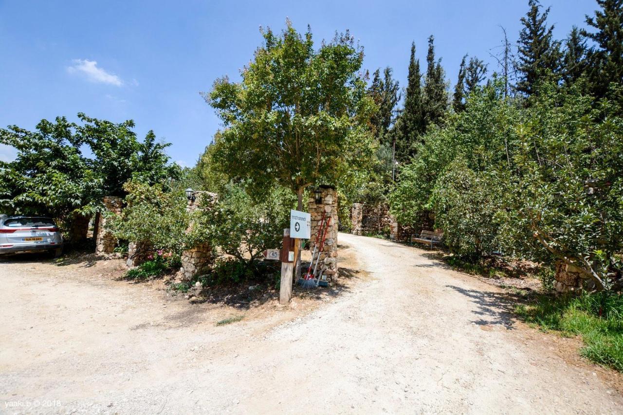 Affittacamere Tur Sinai Organic Farm