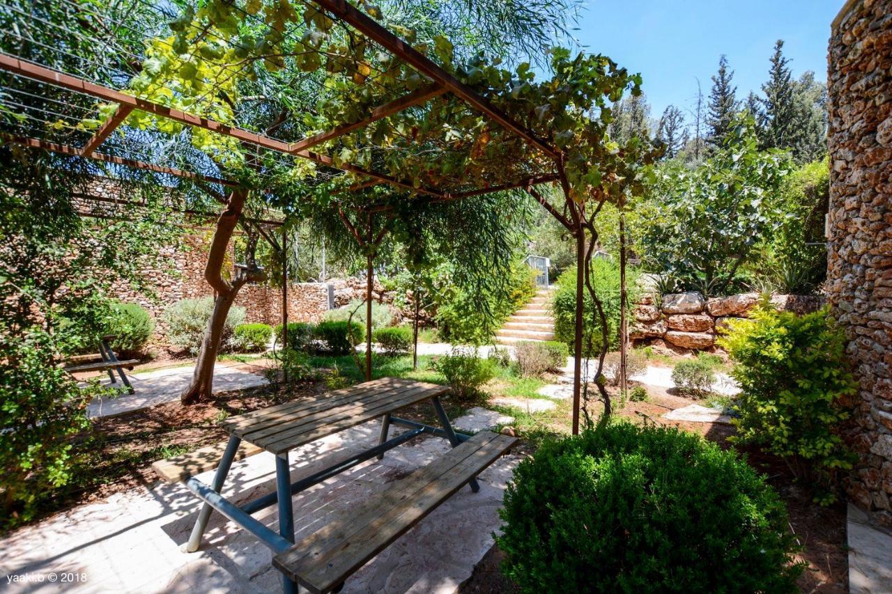 Tur Sinai Organic Farm Gerusalemme