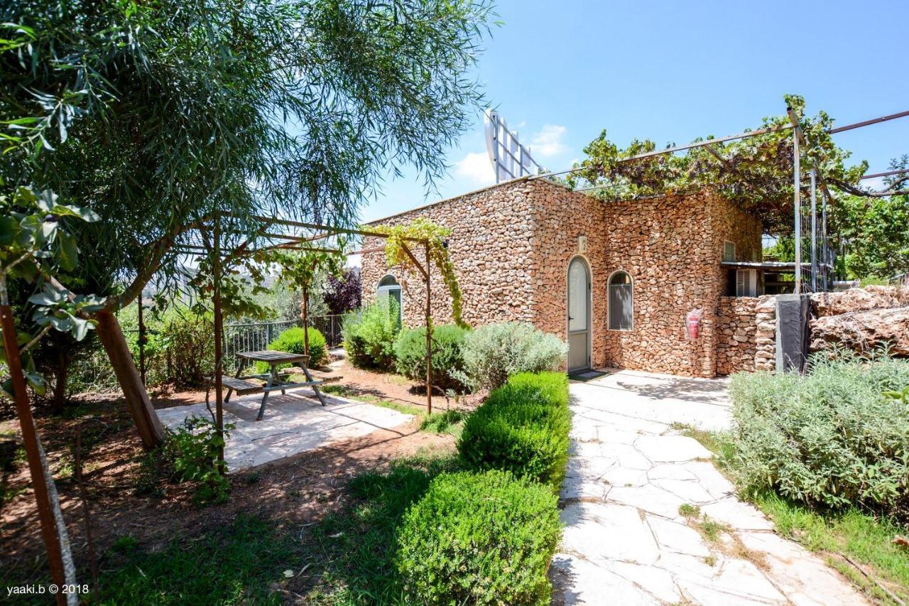 Affittacamere Tur Sinai Organic Farm
